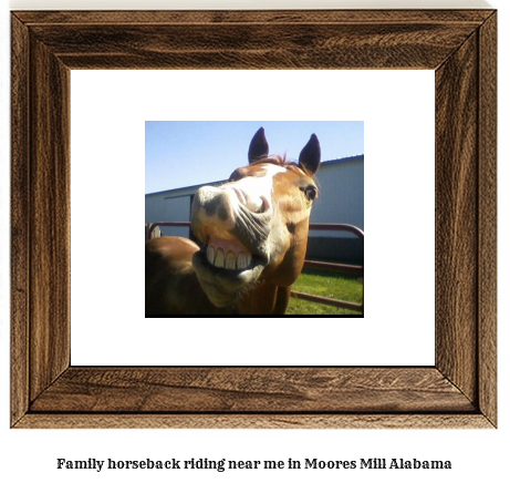 family horseback riding near me in Moores Mill, Alabama